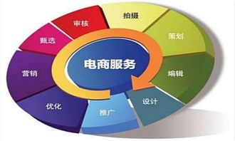 2020年湖南高职单招有电子商务专业全面介绍