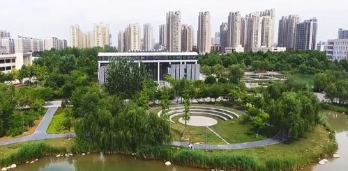 河南这所大学的毕业生在行业内比 211 院校的毕业生受欢迎