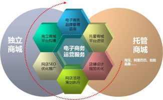 全程电子商务的分类