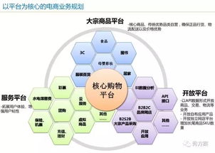 智慧电商 电子商务公共服务平台建设方案 ppt