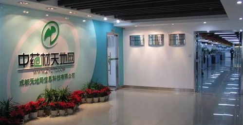 市商务委调研青羊电子商务平台企业