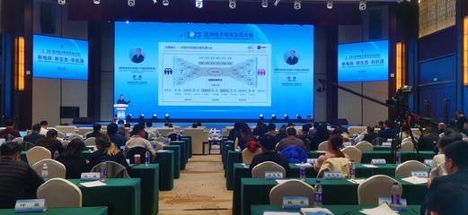 2023亚洲电子商务生态大会在保定成功召开
