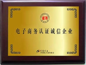 东莞志迅网络营销培训基地图册
